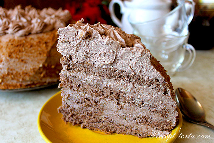 Кусок шоколадного торта Рижанка